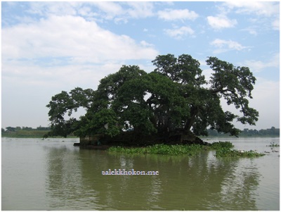 বিরুলিয়ার বটতলীতে